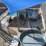 Tour_d_SoCal2_0014 (September 11, 2015)